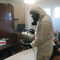Дезинфекция от клопов в Жостово