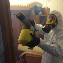 Уничтожение клопов в квартире. Жостово